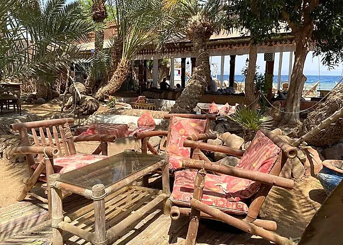Palma Camp Ostello *