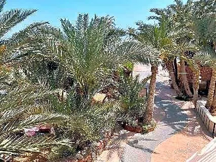 Palma Camp Dahab